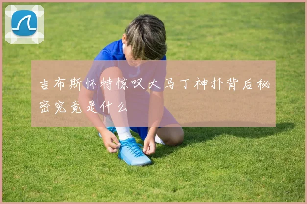 吉布斯怀特惊叹大马丁神扑背后秘密究竟是什么