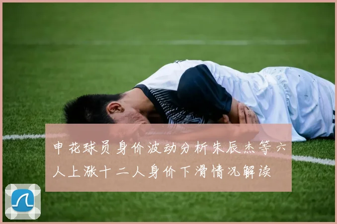 申花球员身价波动分析朱辰杰等六人上涨十二人身价下滑情况解读