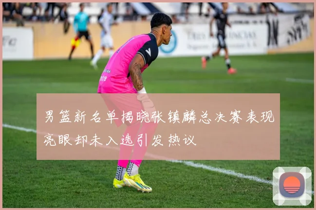 男篮新名单揭晓张镇麟总决赛表现亮眼却未入选引发热议
